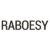 RABOESY