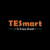 TESmart DE